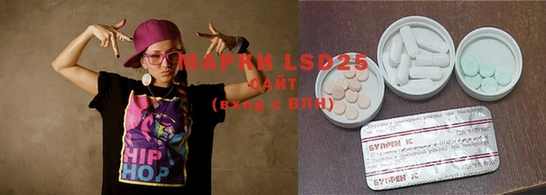 прущие грибы Вязники