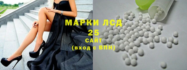 прущие грибы Вязники