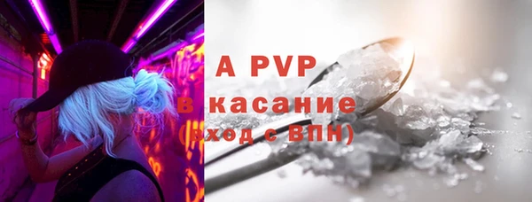 прущие грибы Вязники