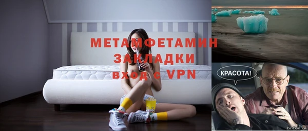 прущие грибы Вязники