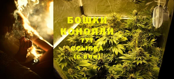 прущие грибы Вязники