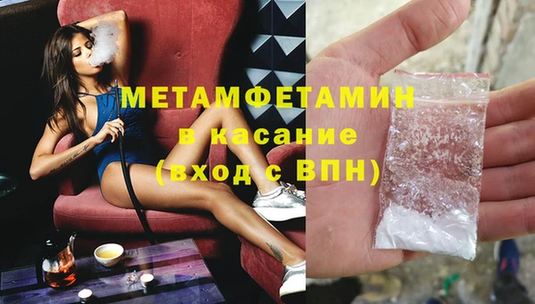 прущие грибы Вязники