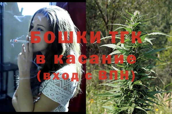 прущие грибы Вязники