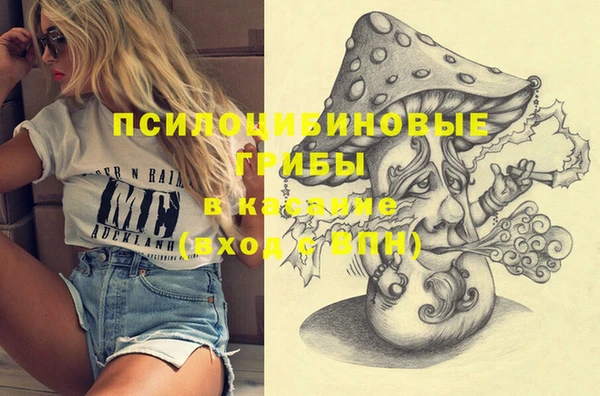 прущие грибы Вязники
