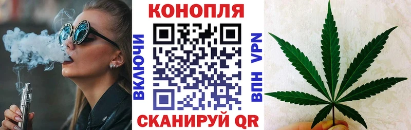 Бошки Шишки планчик Яранск